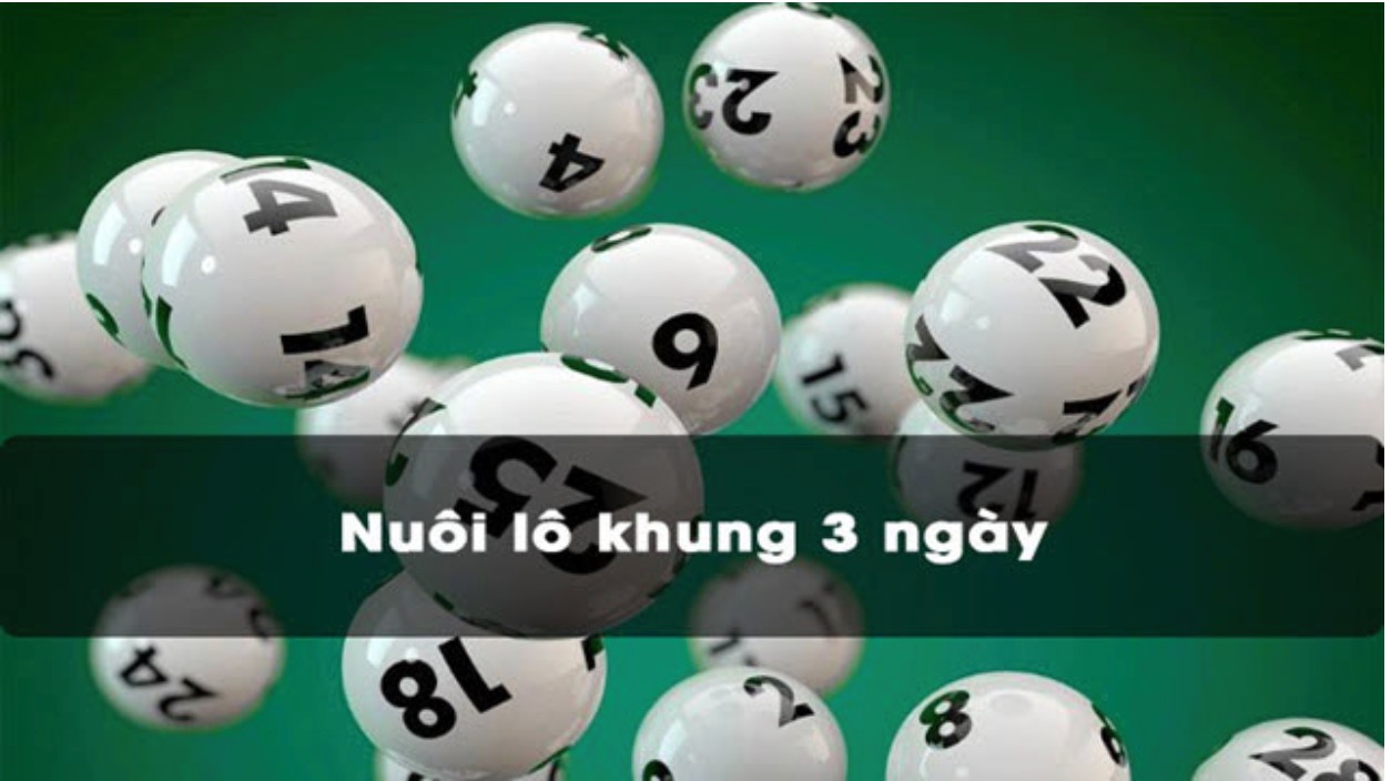 Chia sẻ bí quyết nuôi lô khung 3 ngày miễn phí hiệu quả 2 Nuôi lô khung 3 ngày mang tỷ lệ trúng cao