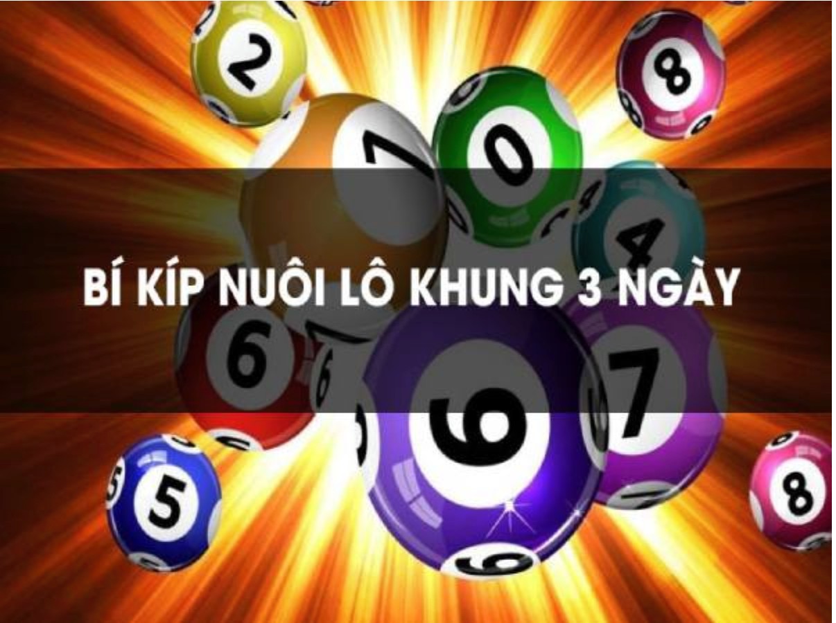 Chia sẻ bí quyết nuôi lô khung 3 ngày miễn phí hiệu quả 4 Có kế hoạch nuôi lô khung 3 ngày cụ thể